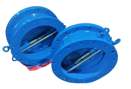 CI Dual Plate Check Valves