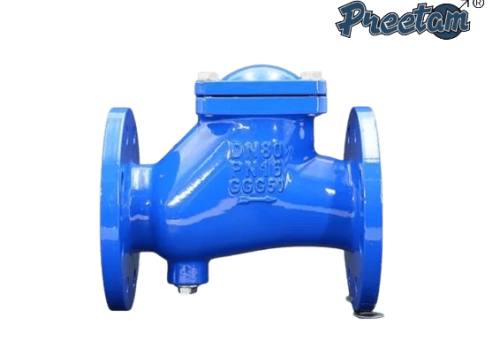 PREETAM® DI Ball Type Check Valve